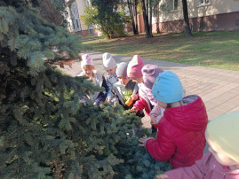 Экскурсия по городу Экскурсия по городу.